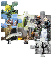 Ecological Restoration Framework