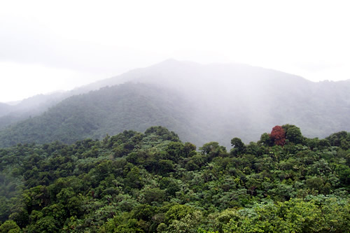 Scenery - heavy mist on mountains