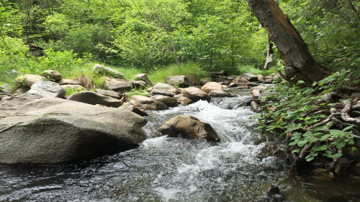 Riverside Day Use North Fork of Tuolumne