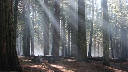 Meadowview Campground