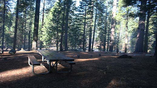 Meadowview Campground