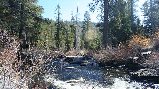 Herring Creek Campground