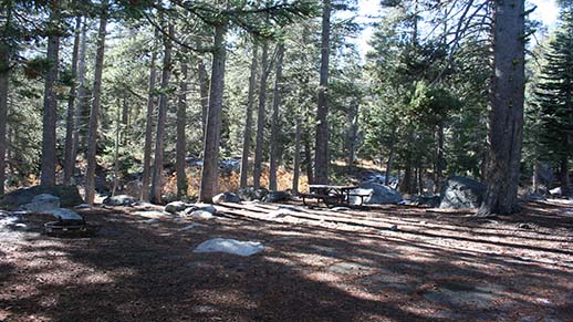 Herring Creek Campground