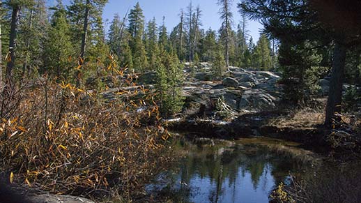 Herring Creek Campground