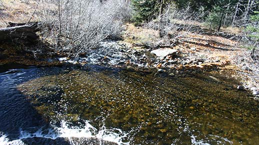 Mill Creek Campground Stream