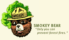 Smokey Bear Picture