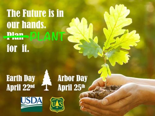 hand holding a sapling with earth day info