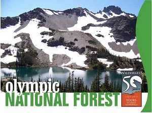 Logo: Olympic Forest Wilderness 50th