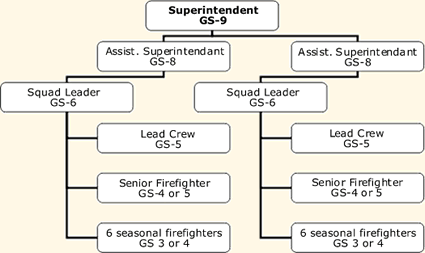 crew organization diagram