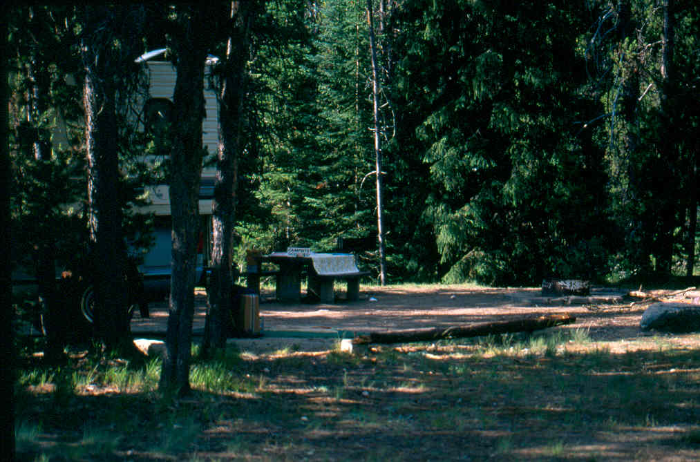 South Fork Salmon River Campground