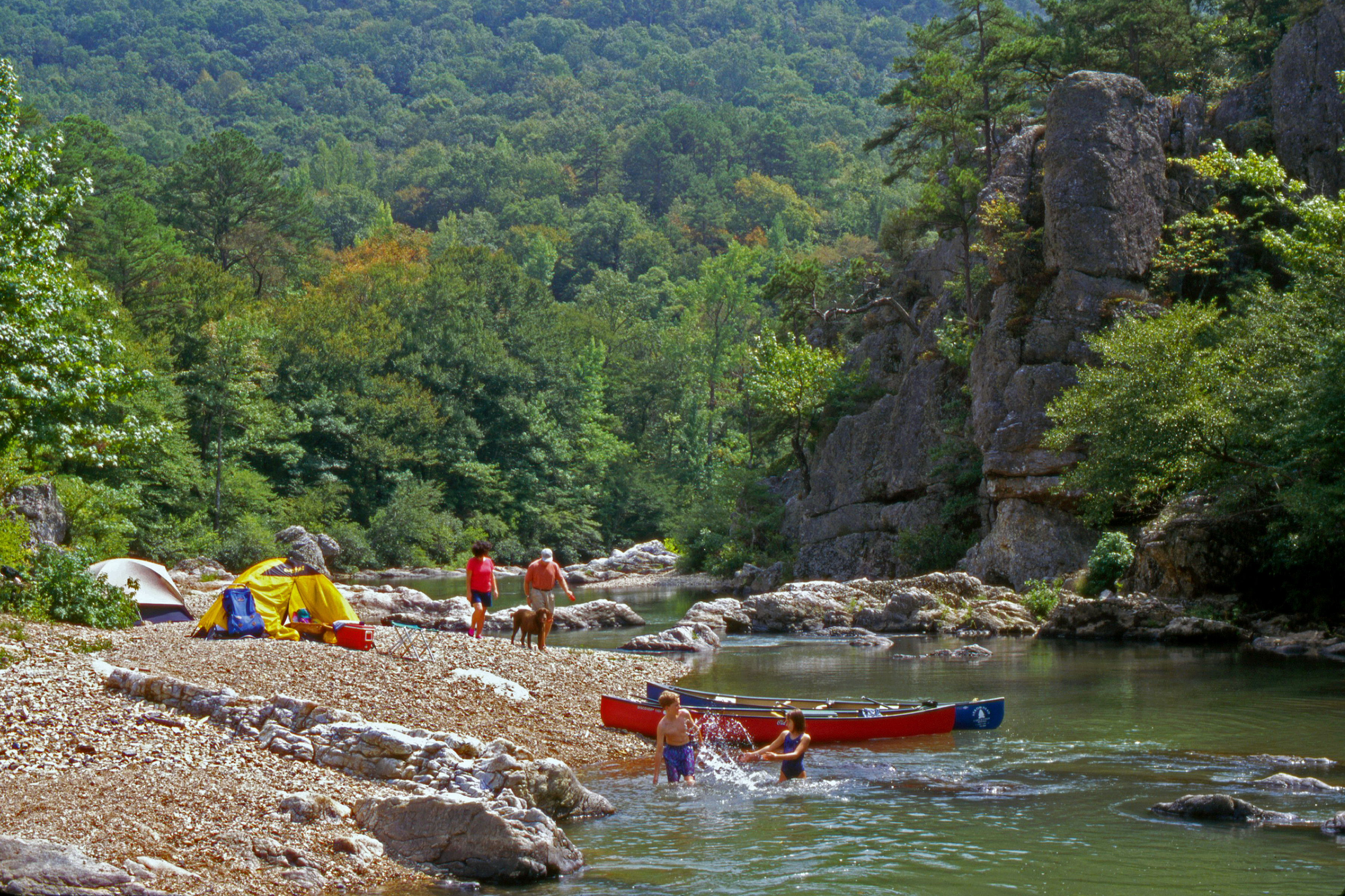 Missouri Forest