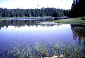 Photo of Forlorn Lakes