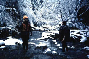 Canyon Creek