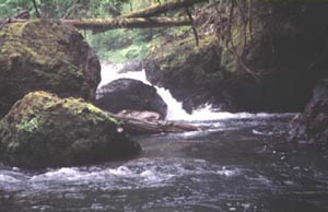 Iron Creek