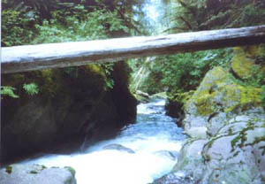 Johnson Creek