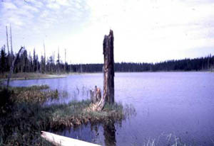 Mosquito Lake