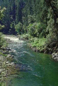 Muddy River