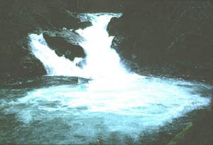 Siouxon Creek