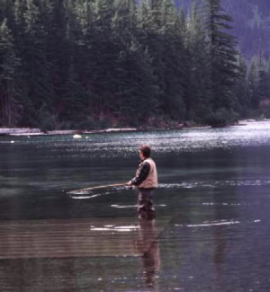 Walupt Lake