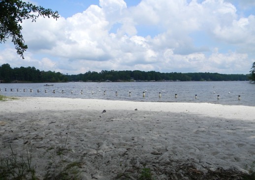 Oconee Ranger District landing photo. Panoramic view out to Lake Sinclair from the beach at Lake Sinclair Recreation Area.