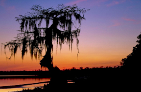 Ocean Pond sunset