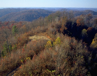 Scenic View of the Redbird Ranger Distict