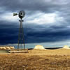 Picture of a lone dead tree in the foreground, a windmill in the far background.