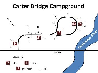 Site map for Carter Bridge campground