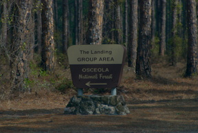 The Landing entrance