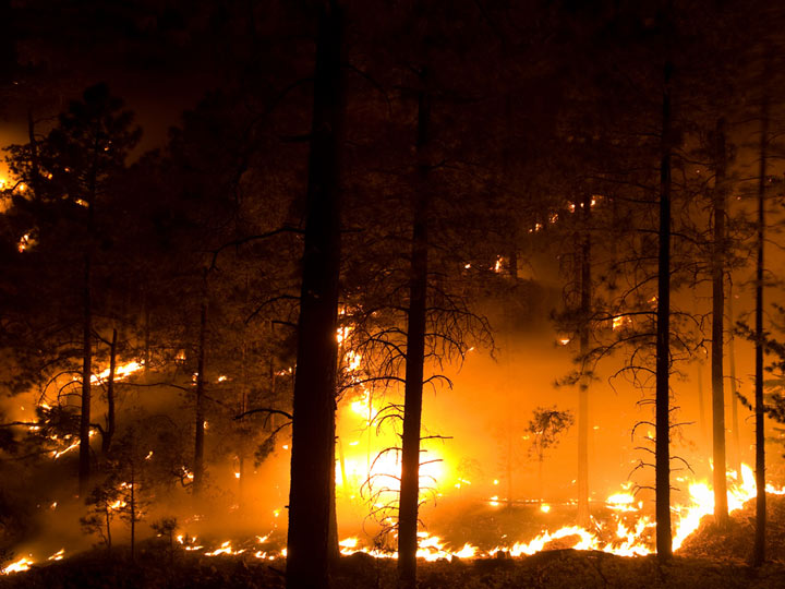Nite Burn Operation in Division T on the 2011 Las Conchas Fire