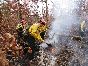 (image) Firefighters Patrolling Fire Line