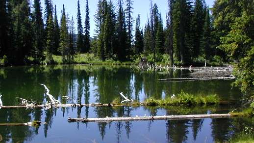 Whetstone Lake, Teton Wilderness