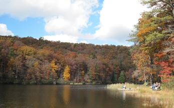 Fall color at Trout Pond, Va.