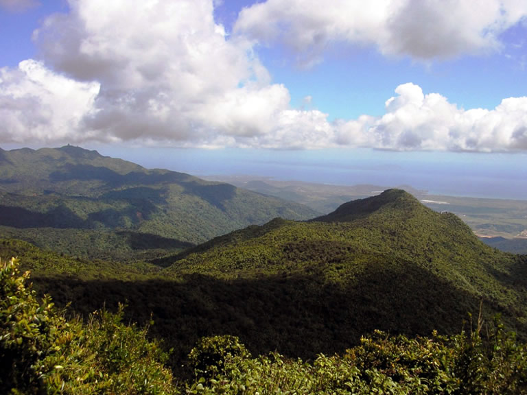 El Yunque National Forest, Puerto Rico (USFS photo)