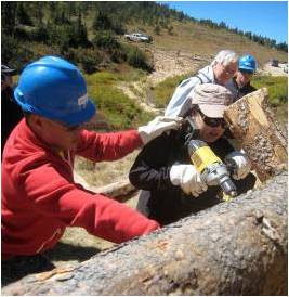 Three people wearing hardhats look on as a woman uses a drill on a large log.