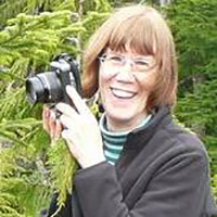 Photo caption:Connie Harrington Connie Harrington