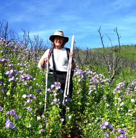 Photo caption:Field sampling in spring post-fire Field sampling in spring post-fire