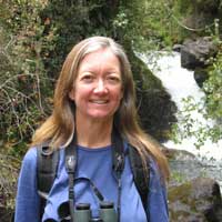 Photo caption:Kathryn Purcell Kathryn Purcell
