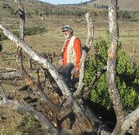 Photo caption:Post-fire bird surveys Post-fire bird surveys