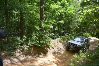 All terrain vehicle in a forest.jpg All terrain vehicle in a forest