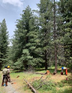 The Cs Lend a Hand at Badger Hill