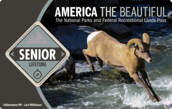 IA Senior Lifetime Pass.jpg IA Senior Lifetime Pass
