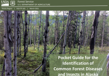 PocketGuide_2021_herocard