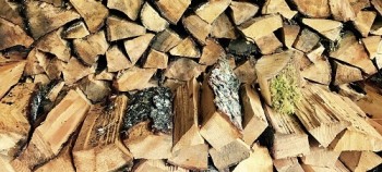Firewood
