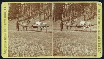 Stretcher with wounded man, from Battle of Slim Buttes.