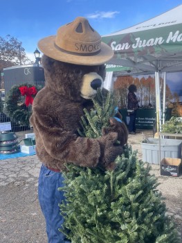 SJMA Tree Lot with Smokey
