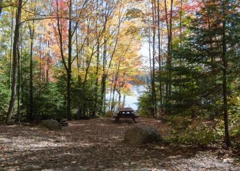Bear Lake Campground