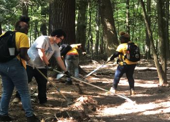 Feature: Volunteers