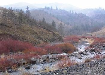 Klickitat Trail