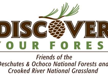 Discover Your Forest